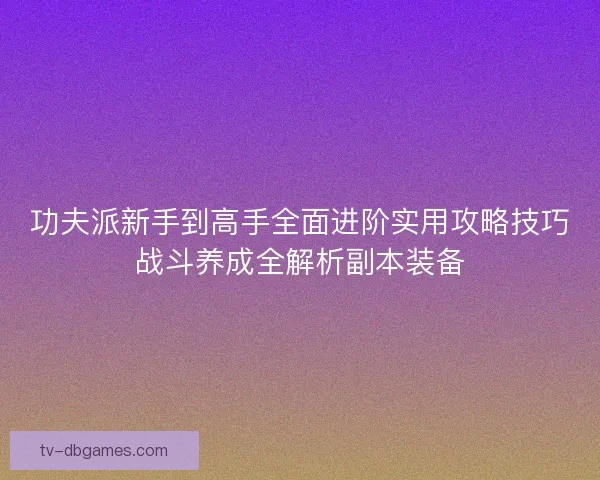 功夫派新手到高手全面进阶实用攻略技巧战斗养成全解析副本装备